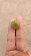 Змеиный кабошон 17,4 карата — Шах Максуд — Zehrmora — 17,2x17,5 мм