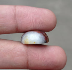 16ct Fortified Agate with Quartize Crystal - Sulaimani Aqeeq - 19x14x8mm