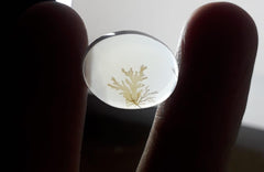 8.7ct Natural Dendritic Agate - Shajri Aqeeq - Dimension-16x12mm