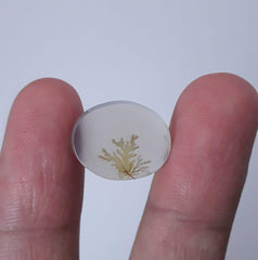 8.7ct Natural Dendritic Agate - Shajri Aqeeq - Dimension-16x12mm