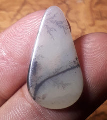 5.1ct Natural Dendritic Agate - Shajri Aqeeq - Dimension-25.5x13.6mm