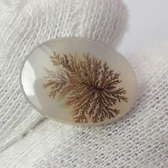 Натуральный дендритный агат 5,8 карата — Шаджри Акик — Размер — 17x13 мм