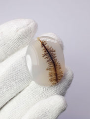 27,6 карата натурального дендритного агата - Шаджри Акик - Размеры: 29 x 23 мм