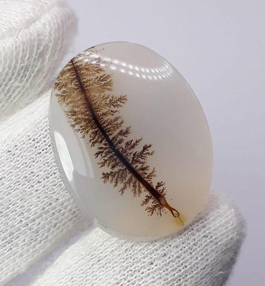 27.6ct Natural Dendritic Agate - Shajri Aqeeq- Dimension-29x23mm