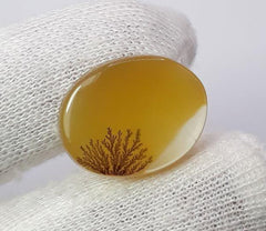 Натуральный дендритный агат 14,8 карата - Шаджри Акик - Размер - 21x17 мм