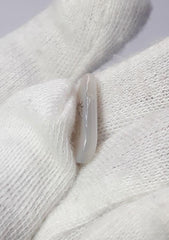 Натуральный дендритный агат 4,2 карата — Шаджри Акик — Размер — 18x9 мм