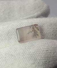 Натуральный дендритный агат 7,1 карата — Шаджри Акик — Размер — 14x9 мм