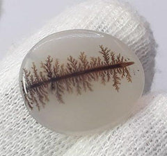 Натуральный дендритный агат 10,8 карата — Шаджри Акик — Размер — 19x16 мм