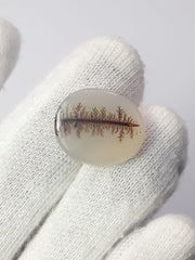 Натуральный дендритный агат 10,8 карата — Шаджри Акик — Размер — 19x16 мм