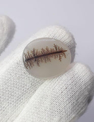 Натуральный дендритный агат 10,8 карата — Шаджри Акик — Размер — 19x16 мм