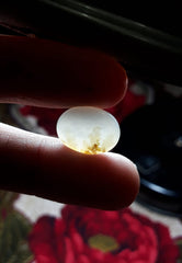 8.1ct Natural Dendritic Agate - Shajri Aqeeq -17x11mm