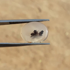 4.9ct Natural Dendritic Agate - Shajri Aqeeq -16x12mm