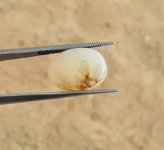 8.1ct Natural Dendritic Agate - Shajri Aqeeq -17x11mm