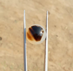 15.2ct Natural Dendritic Agate - Shajri Aqeeq -15x15mm