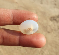 12.4ct Natural Dendritic Agate - Shajri Aqeeq -21x16mm