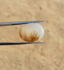 7.8ct Natural Dendritic Agate - Shajri Aqeeq -17x14mm