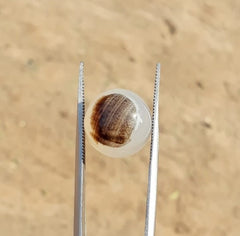 15.2ct Natural Dendritic Agate - Shajri Aqeeq -15x15mm