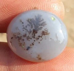 15.5ct Natural Dendritic Agate - Shajri Aqeeq -20x17mm