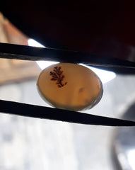 8.6ct Natural Dendritic Agate - Shajri Aqeeq -15x11mm