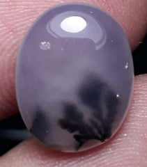 8.2ct Natural Dendritic Agate - Shajri Aqeeq -14x11mm