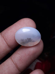 12.4ct Natural Dendritic Agate - Shajri Aqeeq -21x16mm