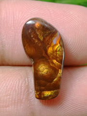 10ct Attractive Fire Agate Suitable for Pendant, Rare Fire Agate, Yellow Fire Agate - Dimensions - 20x10 mm