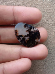 20.85 Natural Dendritic Agate - Shajri Aqeeq - Dimension-28x22mm