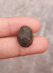 Натуральная зеленая матрица 6,9 карата с пиритом и бирюзой, овальная форма, настоящий камень Фироза, размеры - 15,3x12 мм.