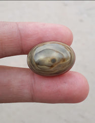 Кабошон из абстрактного агата 32,8 карата - Сулеймани Акик - 21x15 мм