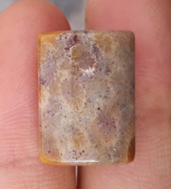 Natural Chrysanthemum Gemstone aka Agatized Coral - 13x18mm