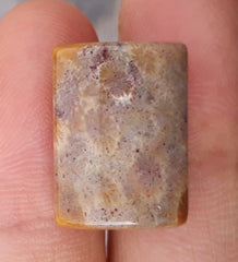 Natural Chrysanthemum Gemstone aka Agatized Coral - 13x18mm