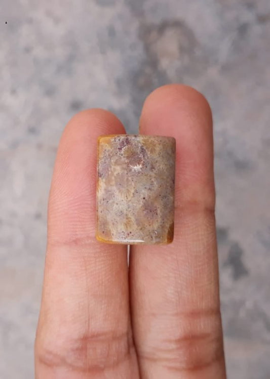 Natural Chrysanthemum Gemstone aka Agatized Coral - 13x18mm