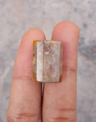 Natural Chrysanthemum Gemstone aka Agatized Coral - 13x18mm