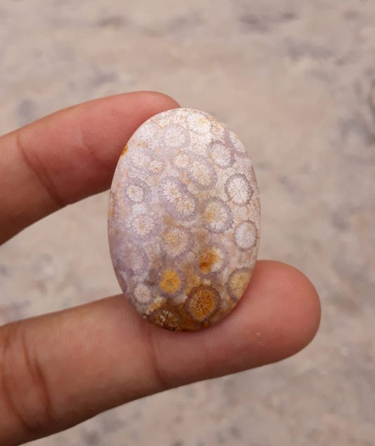 Natural Chrysanthemum Gemstone aka Agatized Coral Cabochon - 26x25mm