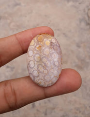 Natural Chrysanthemum Gemstone aka Agatized Coral Cabochon - 26x25mm