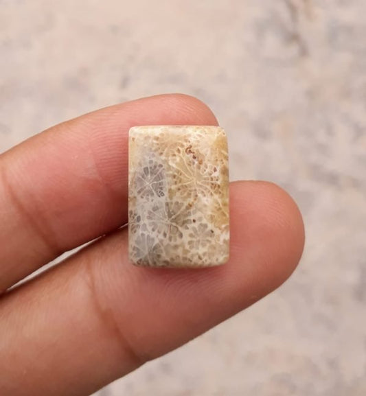 Natural Chrysanthemum Gemstone aka Agatized Coral- 15x18mm