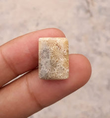 Natural Chrysanthemum Gemstone aka Agatized Coral- 15x18mm
