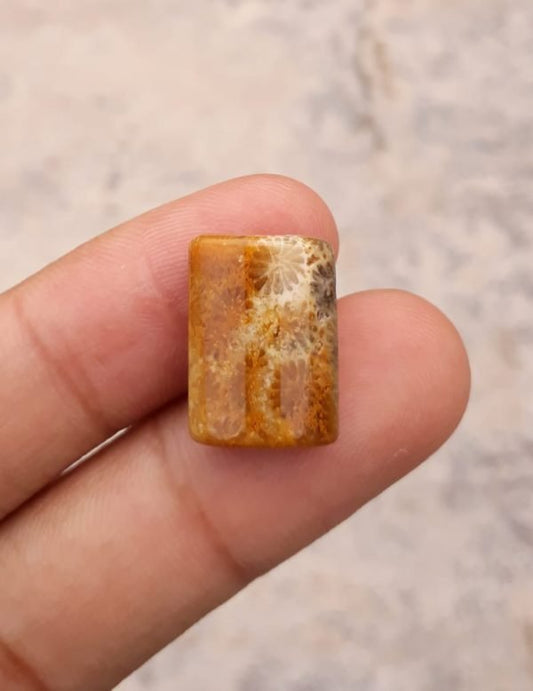 Natural Chrysanthemum Gemstone aka Agatized Coral - 13x18mm