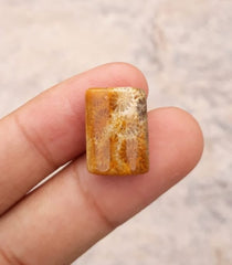 Natural Chrysanthemum Gemstone aka Agatized Coral - 13x18mm