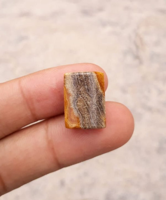 Natural Chrysanthemum Gemstone aka Agatized Coral - 13x18mm