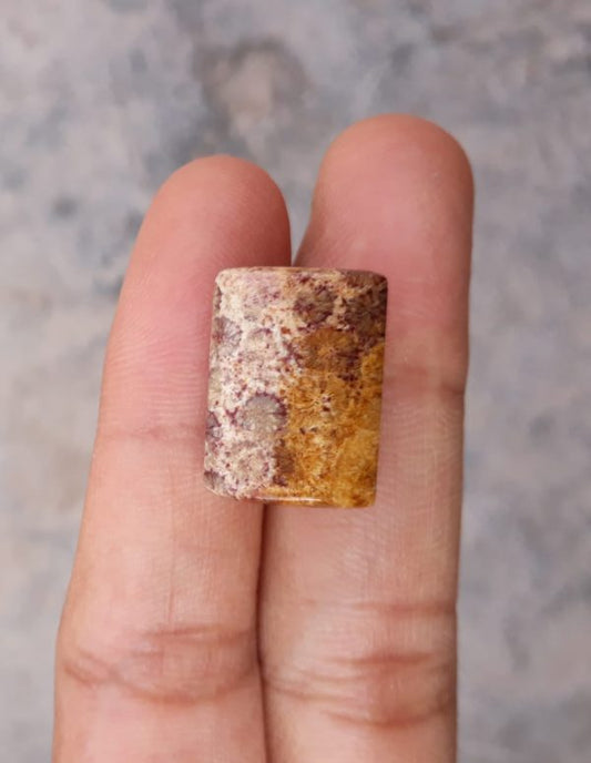 Natural Chrysanthemum Gemstone aka Agatized Coral - 13x18mm