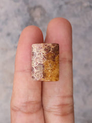 Natural Chrysanthemum Gemstone aka Agatized Coral - 13x18mm