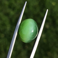 13.8ct - Green Cat’s Eye Nephrite Jade