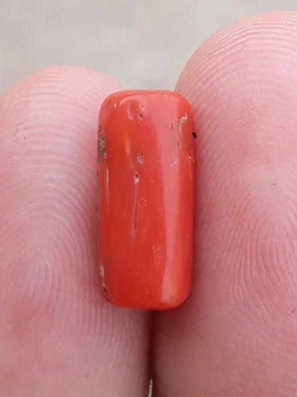 4.45ct Coral Stone - Moonga Stone - Marjan Stone - Pagadam Stone - 13x5mm