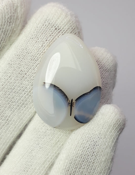 Rare Butterfly Pattern inside Natural Dendritic Agate Gemstone - Collector Gemstone - 31.1 cartats