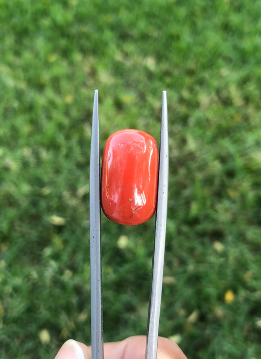 17.3ct Coral Stone - Moonga Stone - Marjan Stone - Pagadam Stone - 17x10mm
