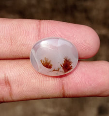 17.9ct-Natural Dendritic Agate - Shajri Aqeeq -22x17x6mm