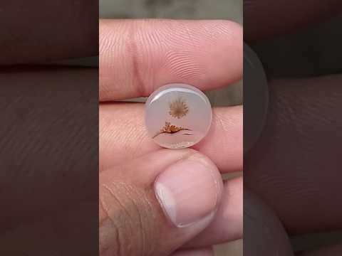 17.9ct-Natural Dendritic Agate - Shajri Aqeeq -22x17x6mm