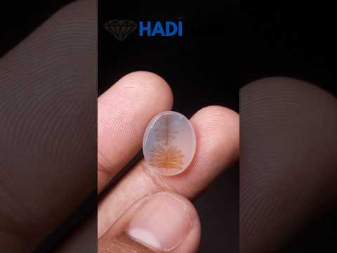 7.3ct Natural Dendritic Agate - Shajri Aqeeq -16x13x4mm