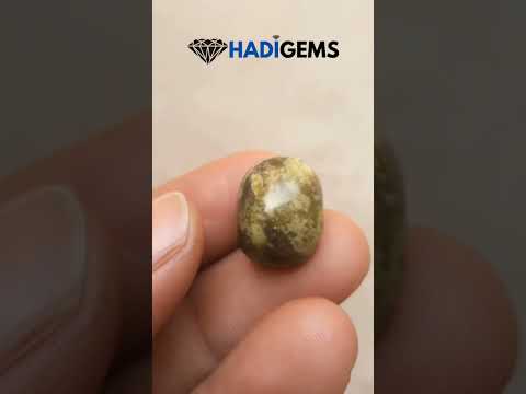 15.7ct Serpentine Cabochon - Shah Maqqsood - Zehrmora - 16.9x13mm